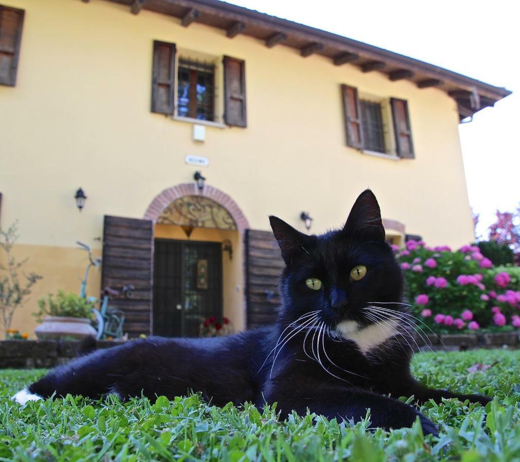 Bed and Breakfast Casale La Decima Budrio  Zewnętrze zdjęcie